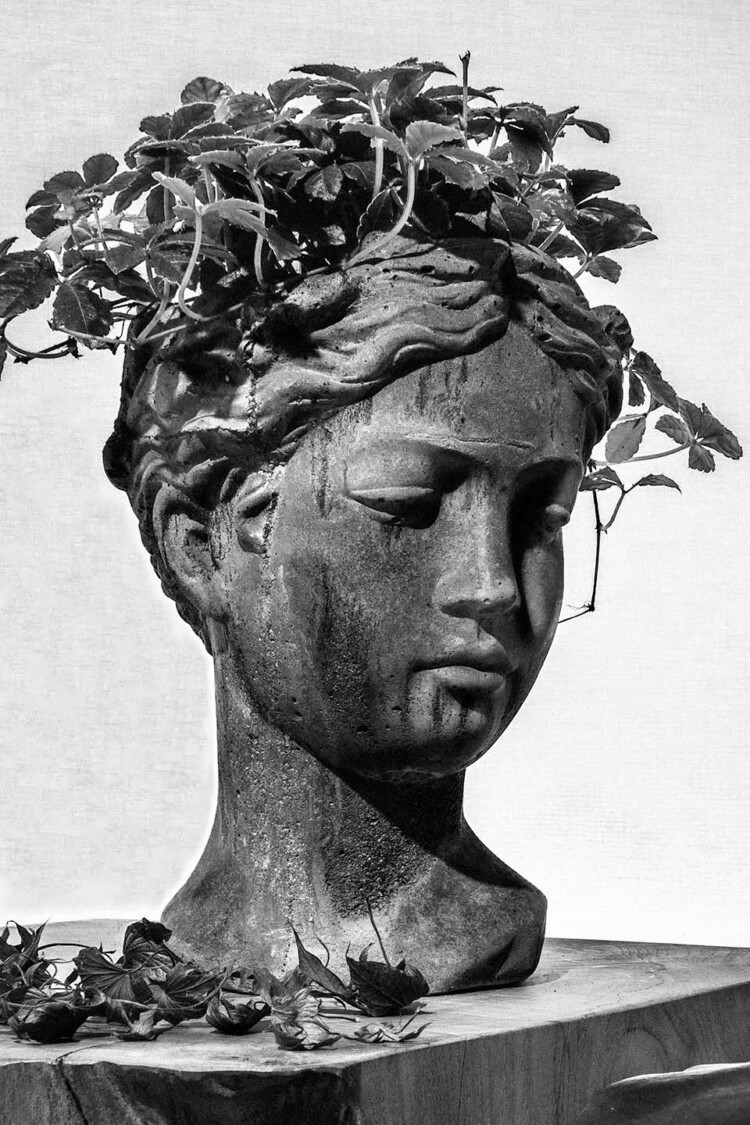 el gardenista product content creation decorative head